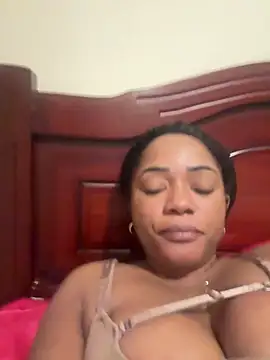 Noviostoxico online show from 02-13-26, 03:28