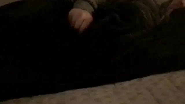 Rock Pierce online show from 02-28-26, 01:22