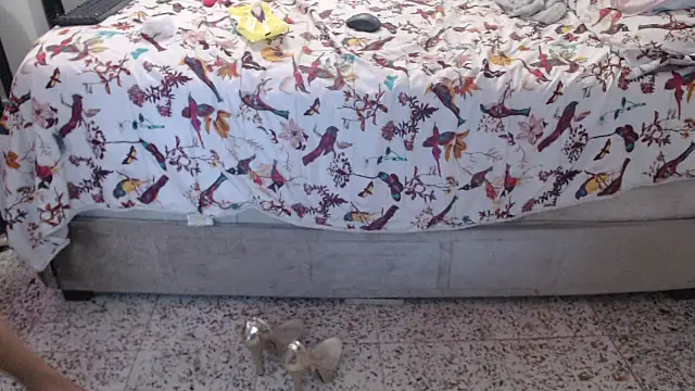 daniela starks online show from 03-12-26, 11:09