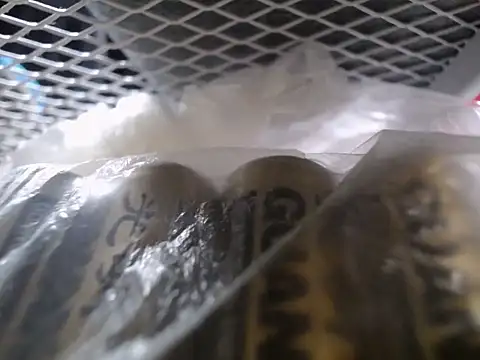 Snapshot of Lovensetest chatting on 09-30-25, 07:36 Lovensetest online show from 09-30-25, 07:36