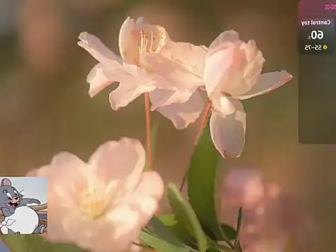 Snapshot of Lovensetest chatting on 10-22-25, 07:19 Lovensetest online show from 10-22-25, 07:19