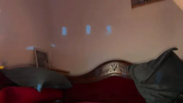 OohBunny online show from 07-19-26, 04:59
