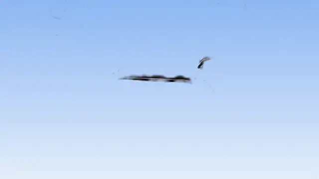 TAndresv2 online show from 01-05-25, 09:14