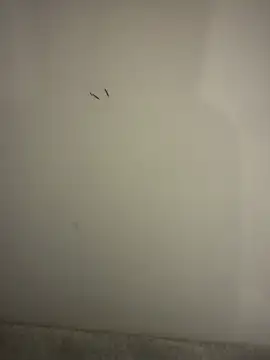 Snapshot of orient_zob chatting on 02-10-26, 09:03 orient zob online show from 02-10-26, 09:03