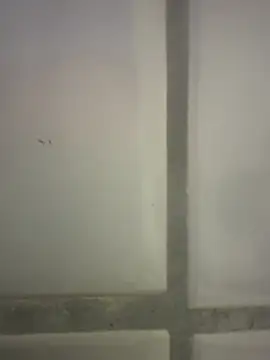 Snapshot of orient_zob chatting on 02-25-26, 04:18 orient zob online show from 02-25-26, 04:18