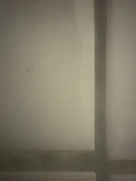 Snapshot of orient_zob chatting on 02-19-26, 12:40 orient zob online show from 02-19-26, 12:40