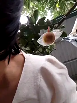 Aninyin22 online show from 01-17-26, 12:58