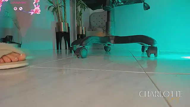 Snapshot of charlotte__grey chatting on 02-24-26, 08:21 charlotte grey online show from 02-24-26, 08:21