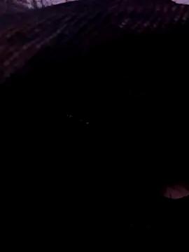 TonyLungas online show from 09-26-25, 03:19