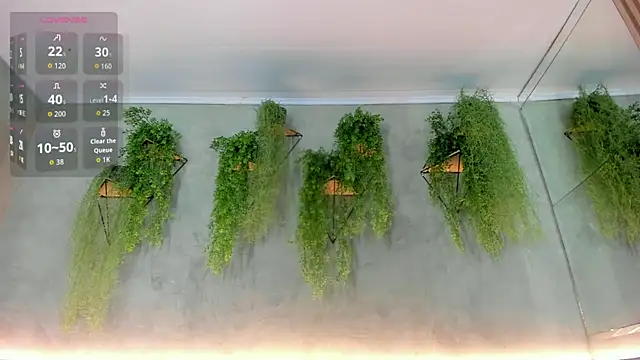 Lana Lann online show from 11-23-25, 12:37