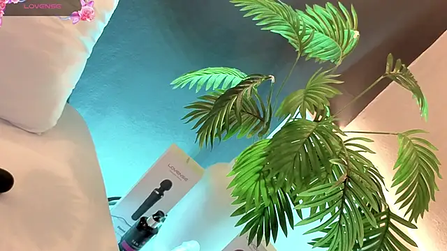 samanthaevanss1 online show from 02-03-26, 02:53