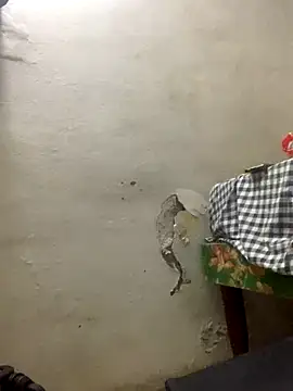 funpharoh1 online show from 11-10-25, 07:41