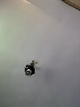 Brando2585 online show from 04-03-26, 01:39