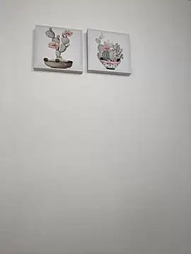 SophiaLaurens online show from 10-14-25, 01:34