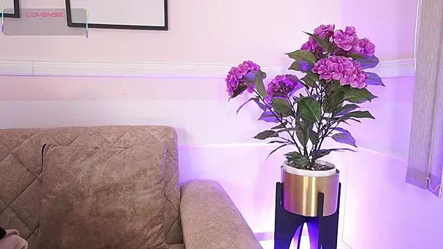 Anybuny online show from 12-18-25, 12:09