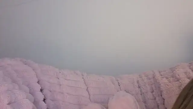 Snapshot of SofiaGc chatting on 01-09-26, 03:46 SofiaGc online show from 01-09-26, 03:46