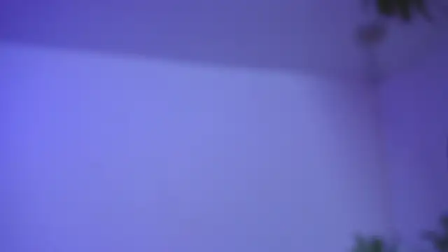 catalina  lovers online show from 12-17-25, 05:29