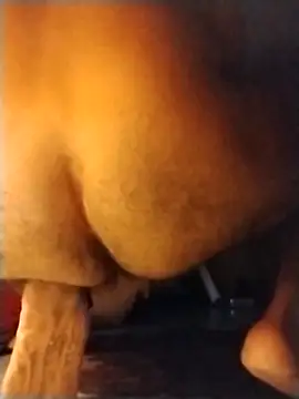 brownfeet online show from 03-23-25, 07:53