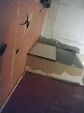 brownfeet online show from 02-26-25, 11:52