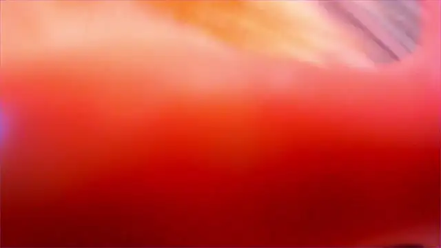 Eva Davi online show from 03-23-26, 03:06