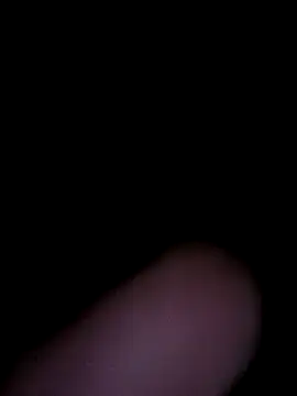 Off the Lesh online show from 01-15-26, 04:54