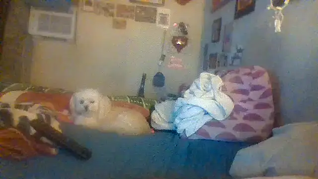 Snapshot of hornyrich69 chatting on 12-22-24, 07:54 hornyrich69 online show from 12-22-24, 07:54