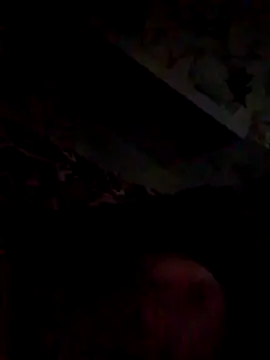 Jefrey1113 online show from 03-25-26, 11:25