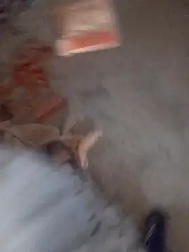 Snapshot of Kurtsikici@xh chatting on 11-05-25, 02:53 Kurtsikicixh online show from 11-05-25, 02:53