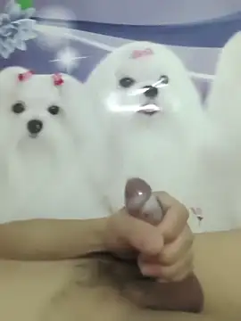 Snapshot of 826687 chatting on 03-02-26, 01:40 826687 online show from 03-02-26, 01:40