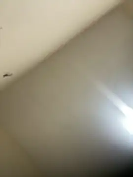 Malandralle online show from 02-21-26, 12:01