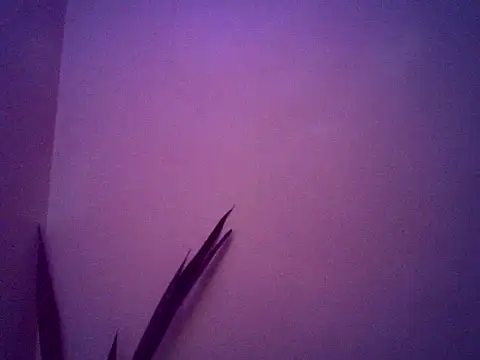 Malandralle online show from 11-25-25, 05:30