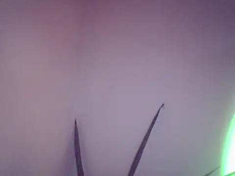 Malandralle online show from 12-01-25, 05:47