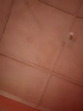 bebsexy online show from 12-14-25, 12:55