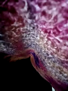 morenogts69 online show from 10-24-25, 01:32