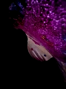 morenogts69 online show from 09-23-25, 10:00