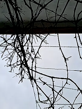 SexyNicool35 online show from 04-09-26, 05:42