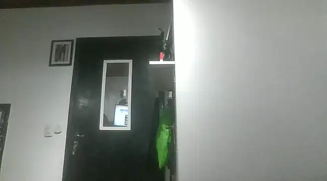 WellingtonPiettroRio online show from 12-02-24, 08:15