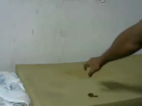 michel sc online show from 10-08-25, 05:42