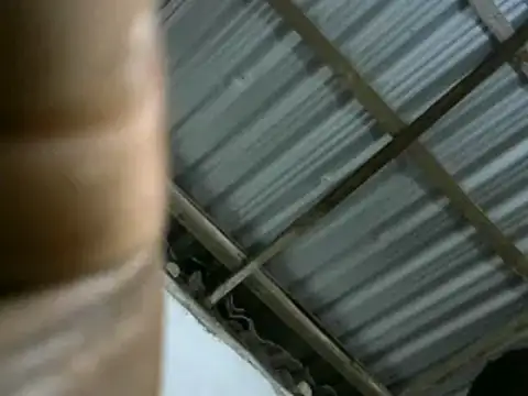 michel sc online show from 03-11-25, 08:08