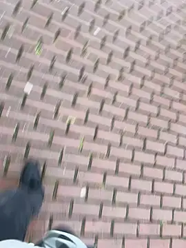 0maxx00 online show from 12-19-24, 02:13