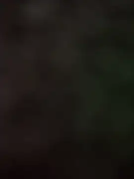 Samarth 0081 online show from 09-17-25, 02:30