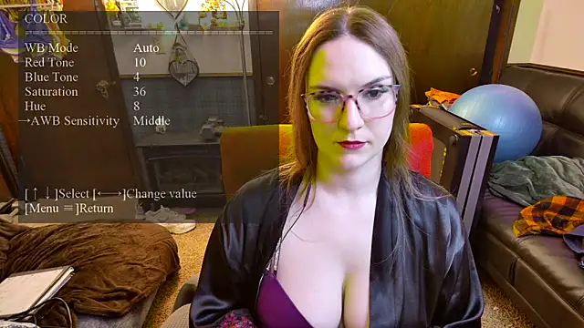 Snapshot of Alexa-Voltage chatting on 04-03-26, 02:07 Alexa-Voltage online show from 04-03-26, 02:07