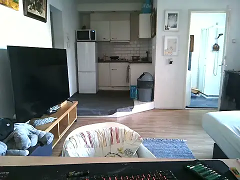 mihaimichael online show from 04-07-26, 02:41