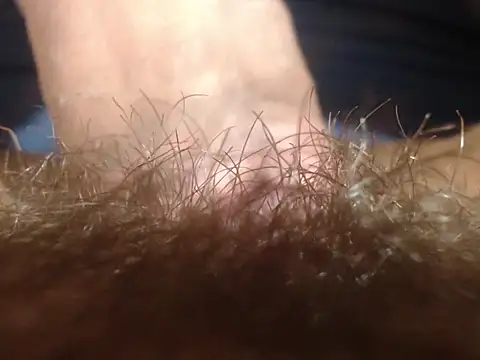 Snapshot of lolamike19 chatting on 02-02-26, 11:31 lolamike19 online show from 02-02-26, 11:31