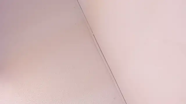 Snapshot of Black_Rose2 chatting on 03-01-26, 11:43 Black Rose2 online show from 03-01-26, 11:43