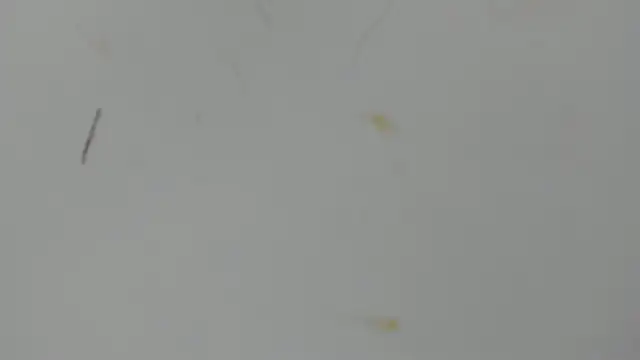 Antonellanospik  online show from 03-16-25, 03:25