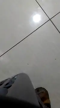 bogbosdick online show from 02-21-25, 10:59