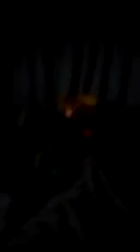 bogbosdick online show from 02-22-25, 03:12