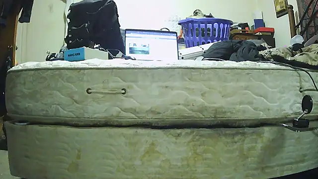 pipeload1275 online show from 11-30-25, 05:30