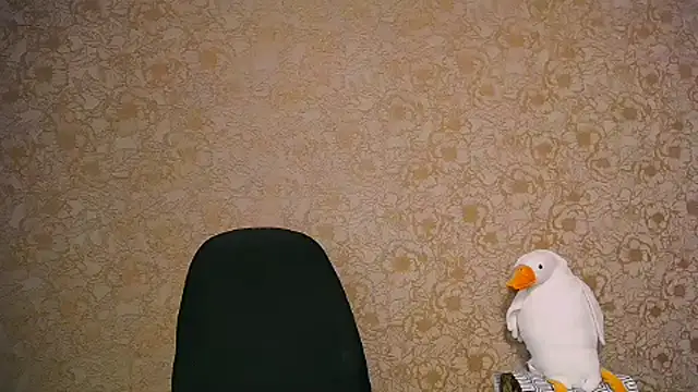 Snapshot of _your_fantasy_girl chatting on 02-27-25, 11:28 your fantasy girl online show from 02-27-25, 11:28